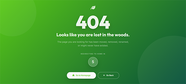 404 Error